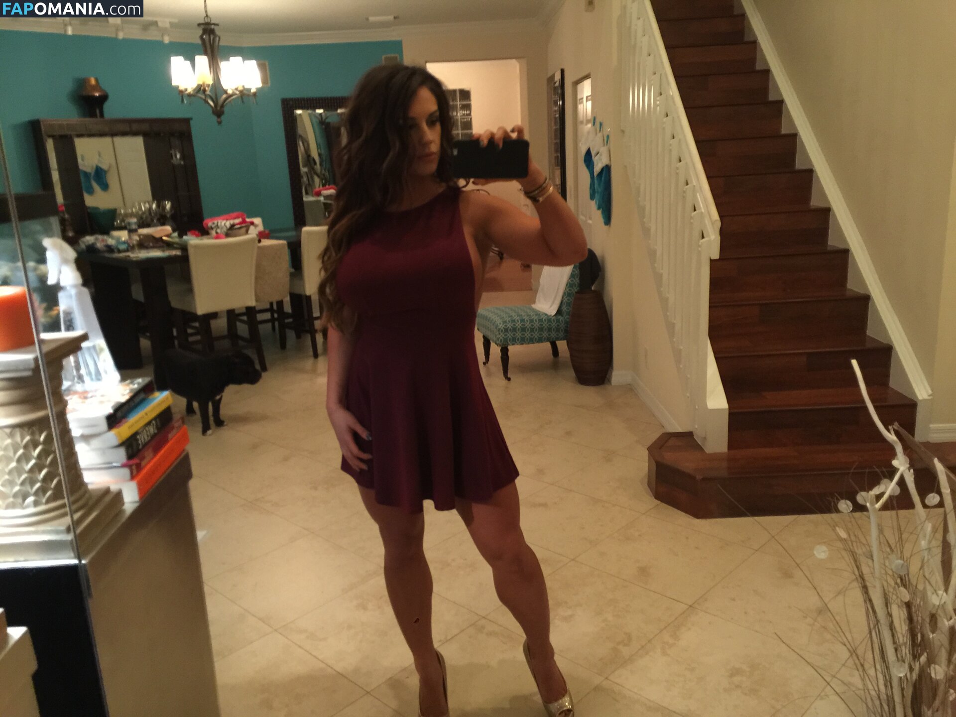 Kaitlyn WWE Nud Fotografie scursă #35