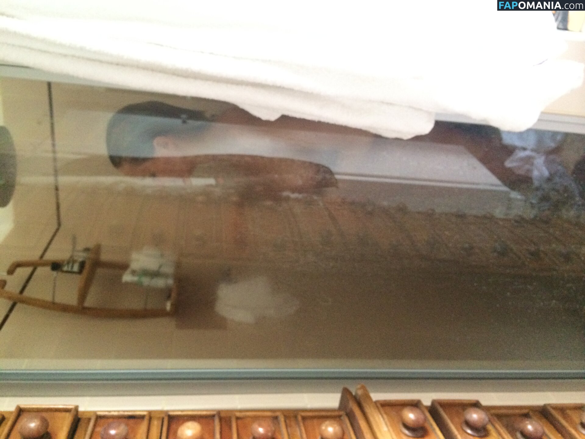 Lara Bingle Nud Fotografie scursă #245