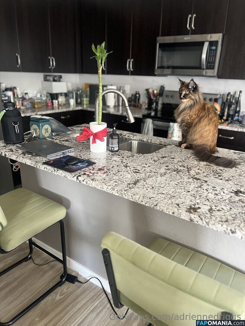 adrienne.driggs / adriennedriggs Nud OnlyFans  Fotografie scursă #9