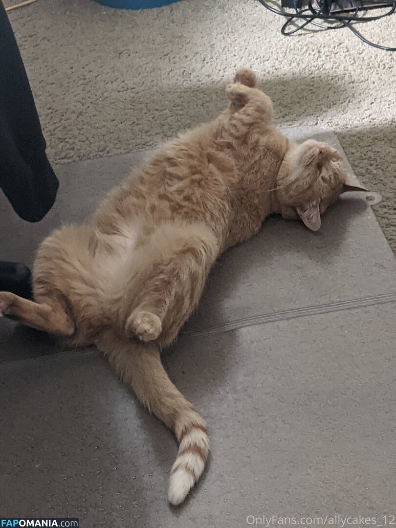 allycakes_12 Nud OnlyFans  Fotografie scursă #3