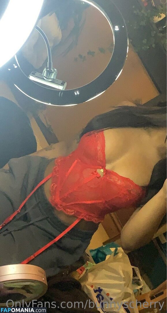 Bunnyscherry / bunnycherry4741 Nud OnlyFans  Fotografie scursă #14