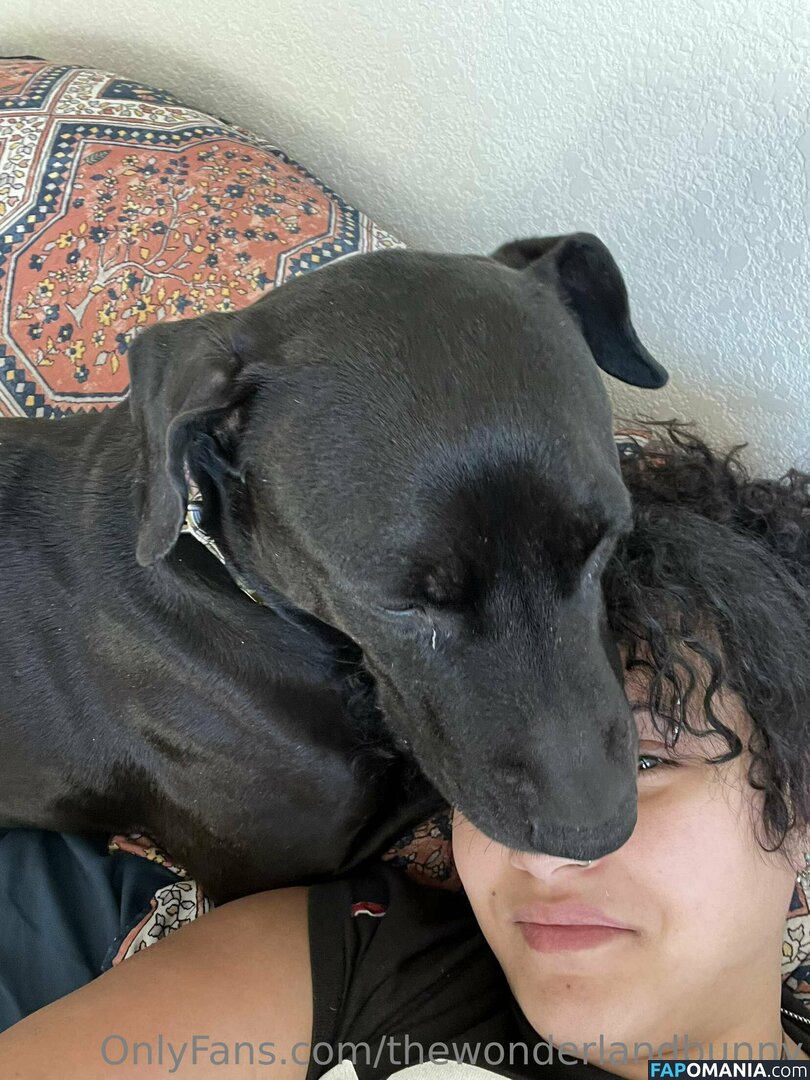 CairoBunny / ucairo-bunny Nud OnlyFans  Fotografie scursă #91