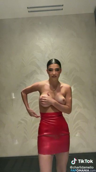 Charli D'Amelio / Charli Damelio / charlidamelio / charliesdamelio Nud OnlyFans  Fotografie scursă #72