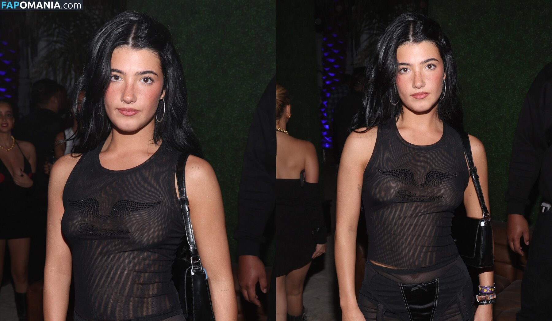 Charli D'Amelio / Charli Damelio / charlidamelio / charliesdamelio Nud OnlyFans  Fotografie scursă #1550