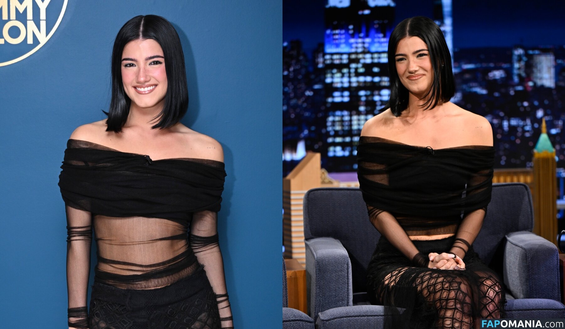 Charli D'Amelio / Charli Damelio / charlidamelio / charliesdamelio Nud OnlyFans  Fotografie scursă #1560