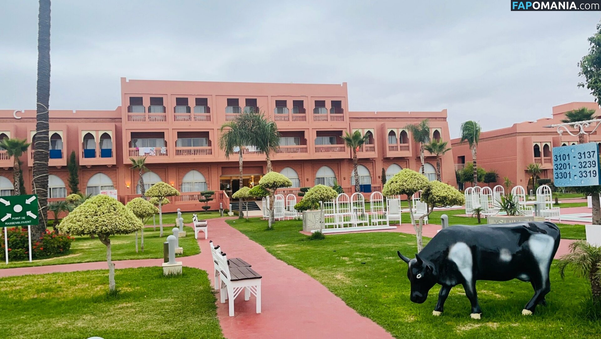 chloz.ee / coco-lls Nud OnlyFans  Fotografie scursă #7