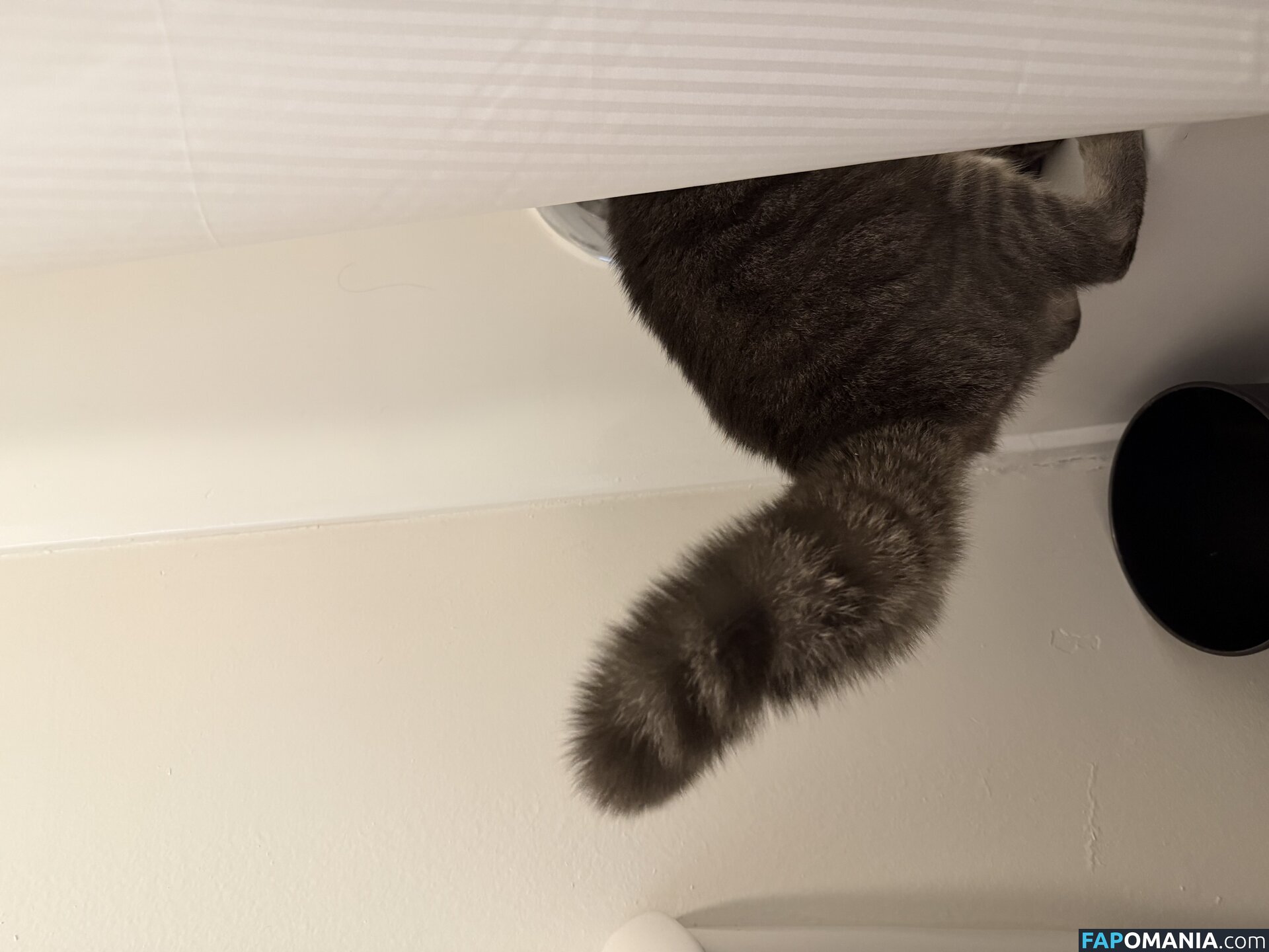 dahniks / dahnikz Nud OnlyFans  Fotografie scursă #15