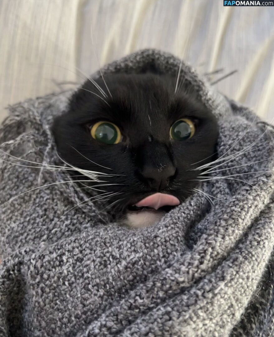 dahniks / dahnikz Nud OnlyFans  Fotografie scursă #19