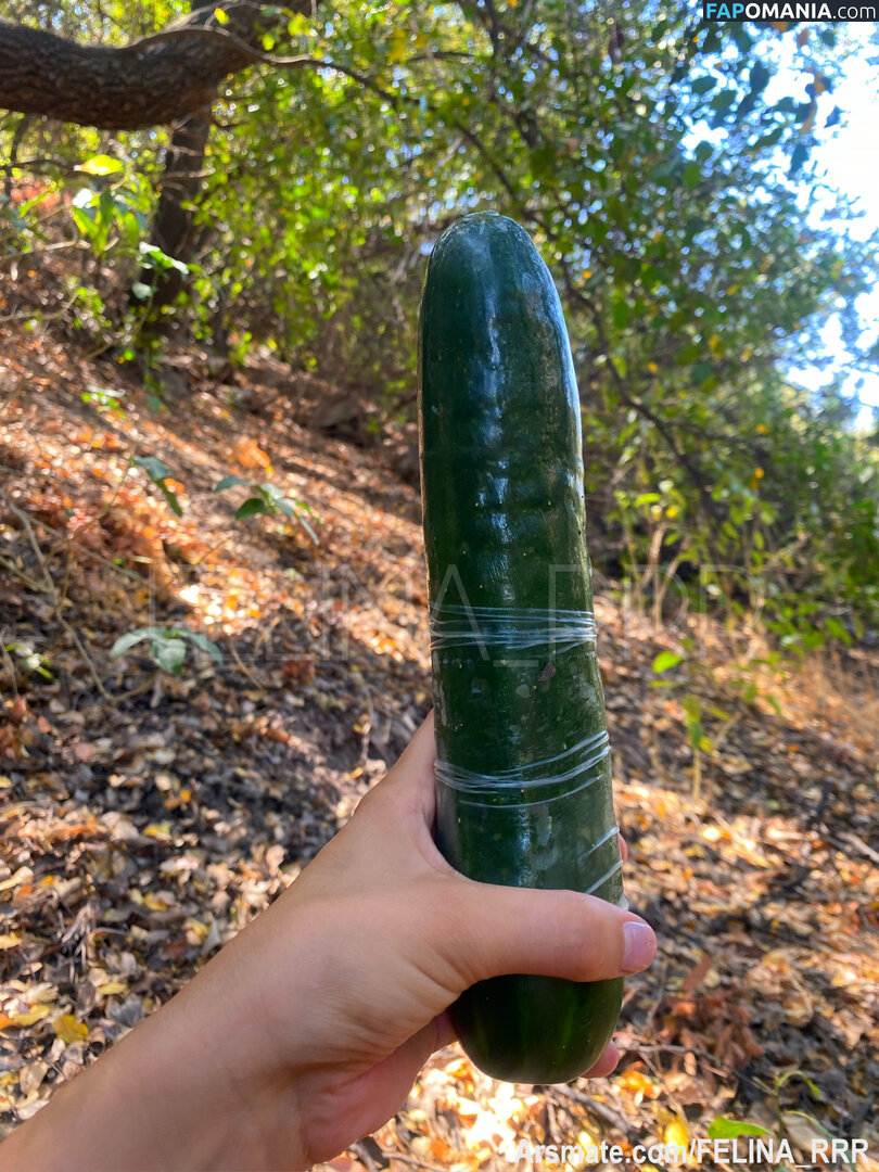 Felina_rrr Nud OnlyFans  Fotografie scursă #16