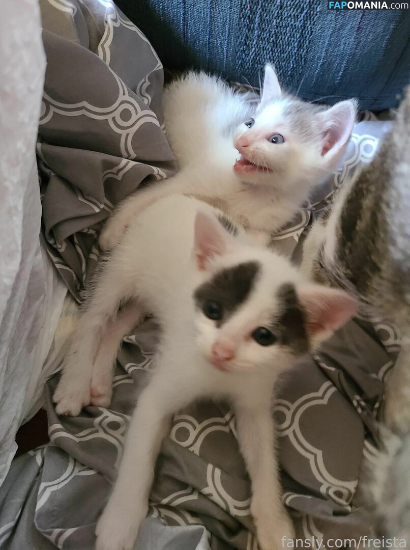 Freista / Tittykona / _mofreitas Nud OnlyFans  Fotografie scursă #16