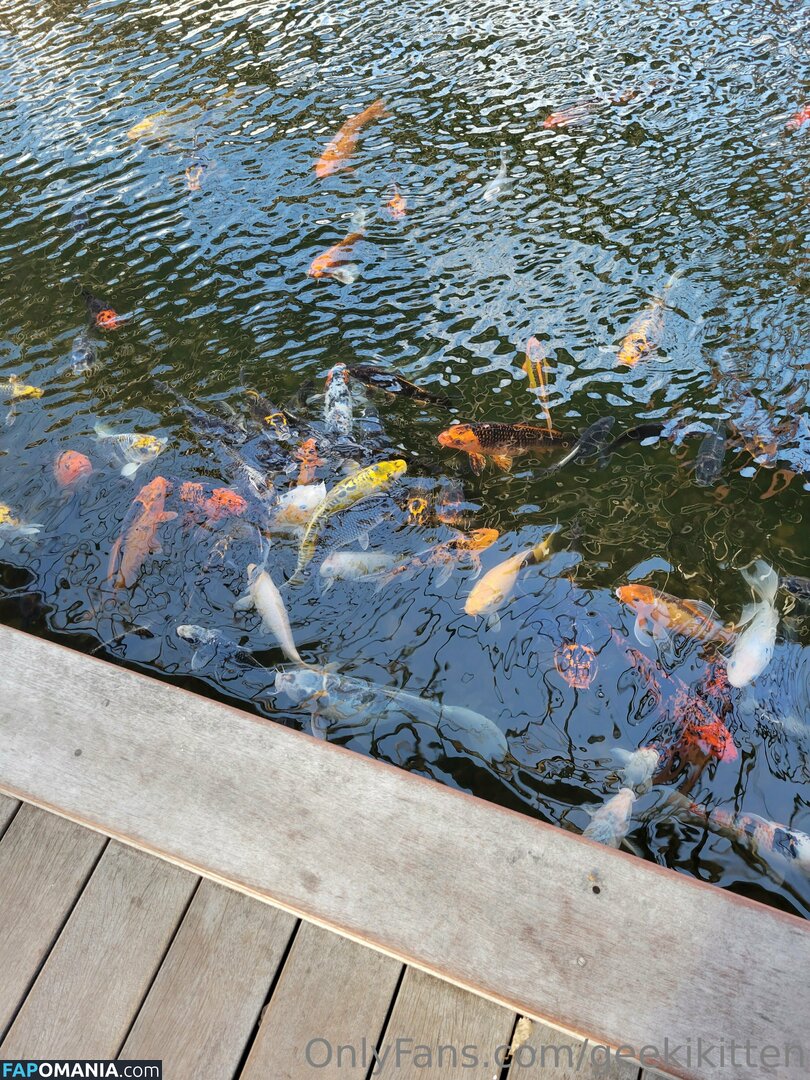 geekikitten / geekykittenxo Nud OnlyFans  Fotografie scursă #4