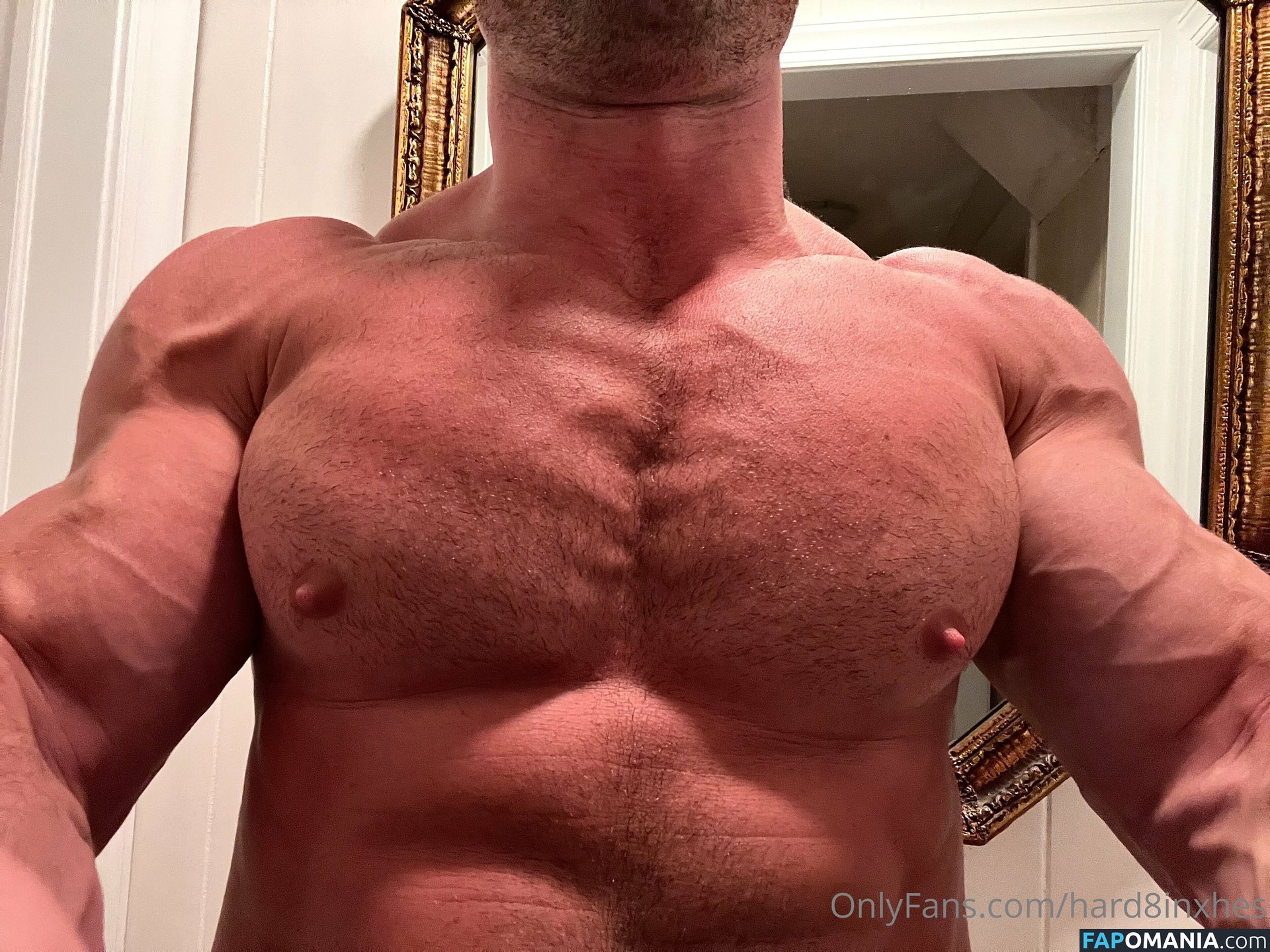 hard8inxhes Nud OnlyFans  Fotografie scursă #4