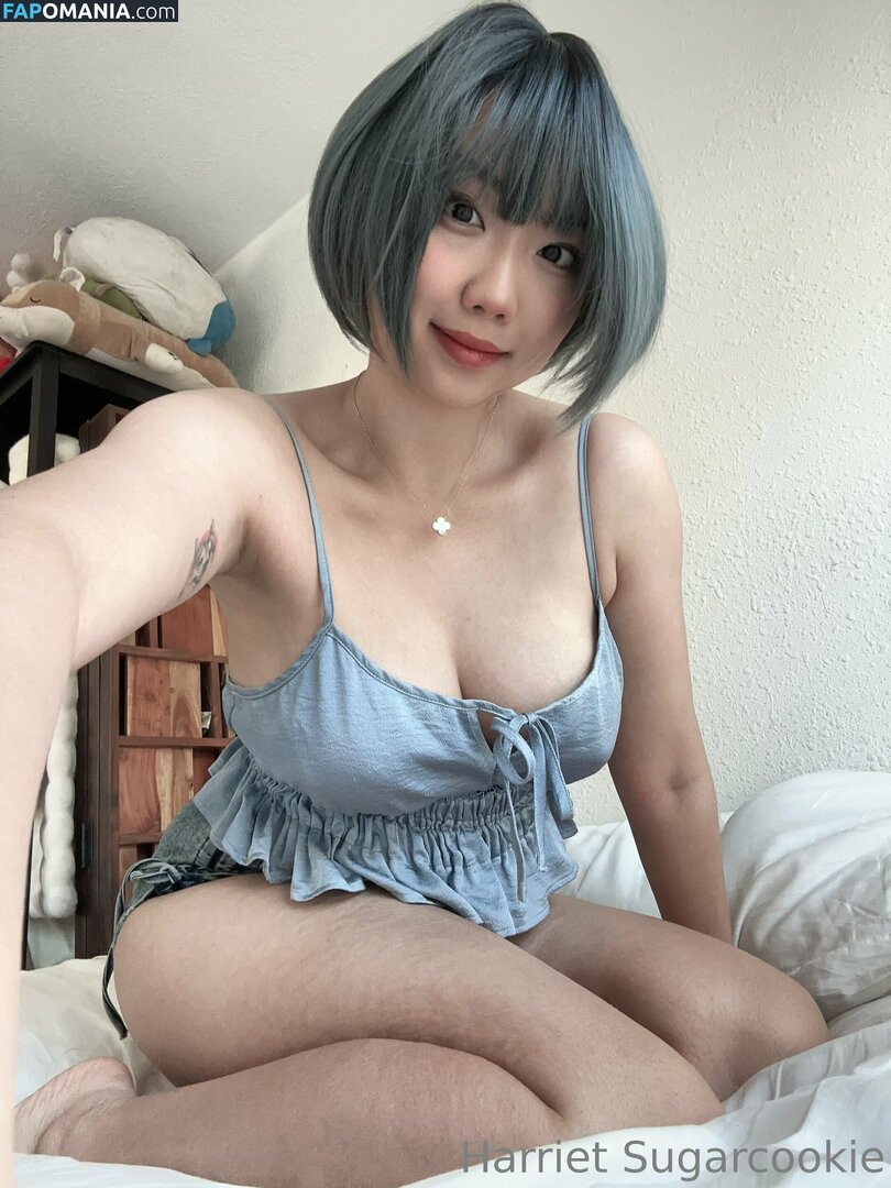 HSugarCookie / Harriet Sugarcookie / harrietsugarcookie / iamharrietsugarcookie Nud OnlyFans  Fotografie scursă #85