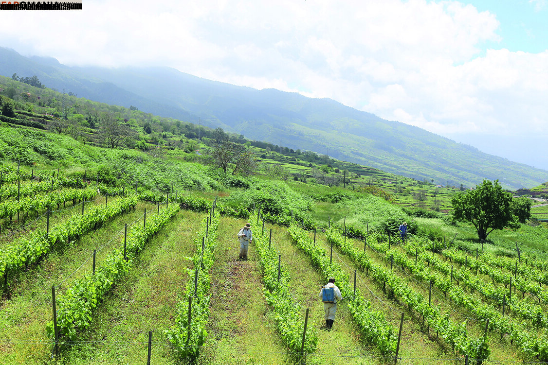 julia_lyn Nud OnlyFans  Fotografie scursă #10