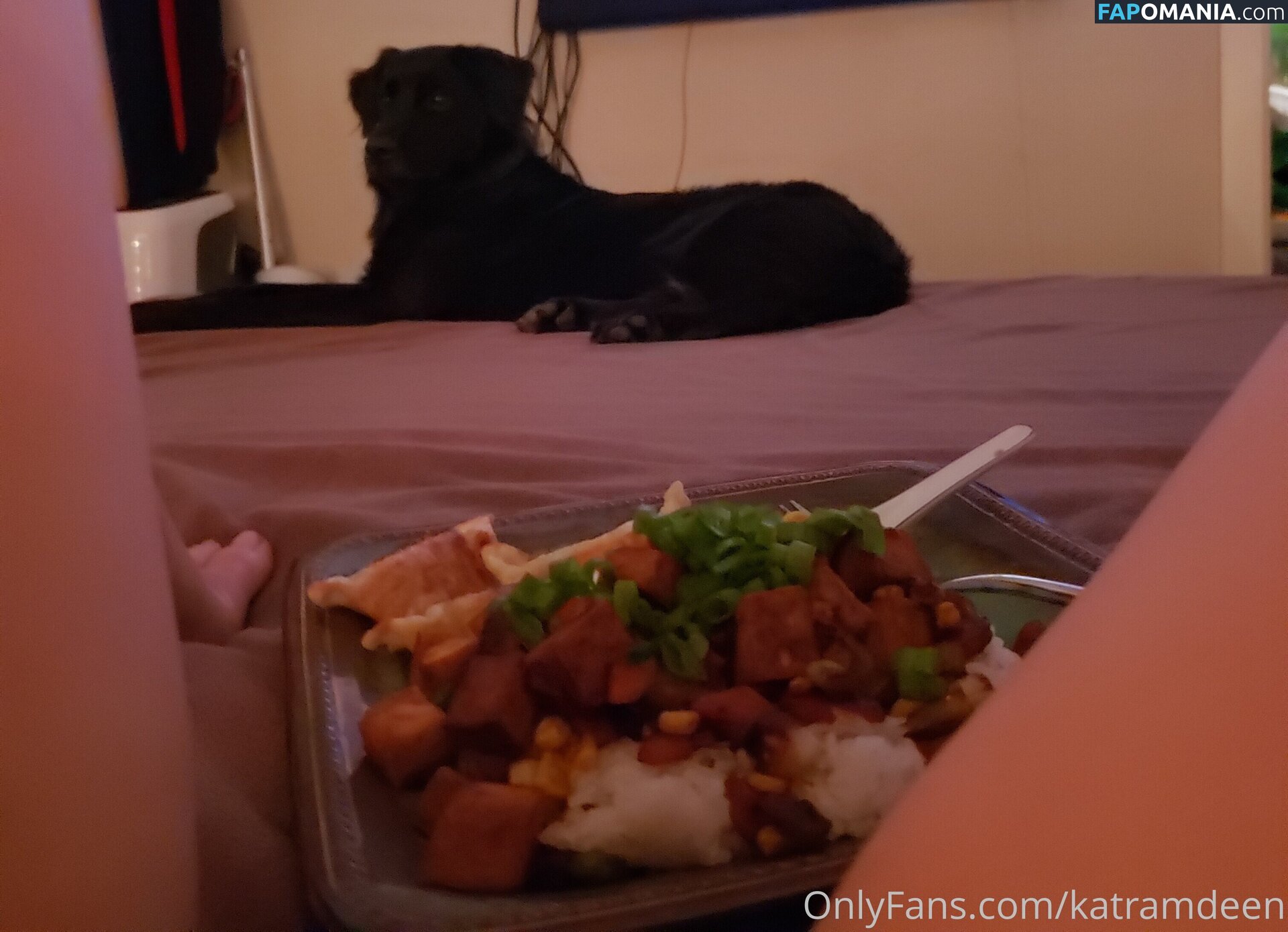 Katherine Ramdeen Nud OnlyFans  Fotografie scursă #14