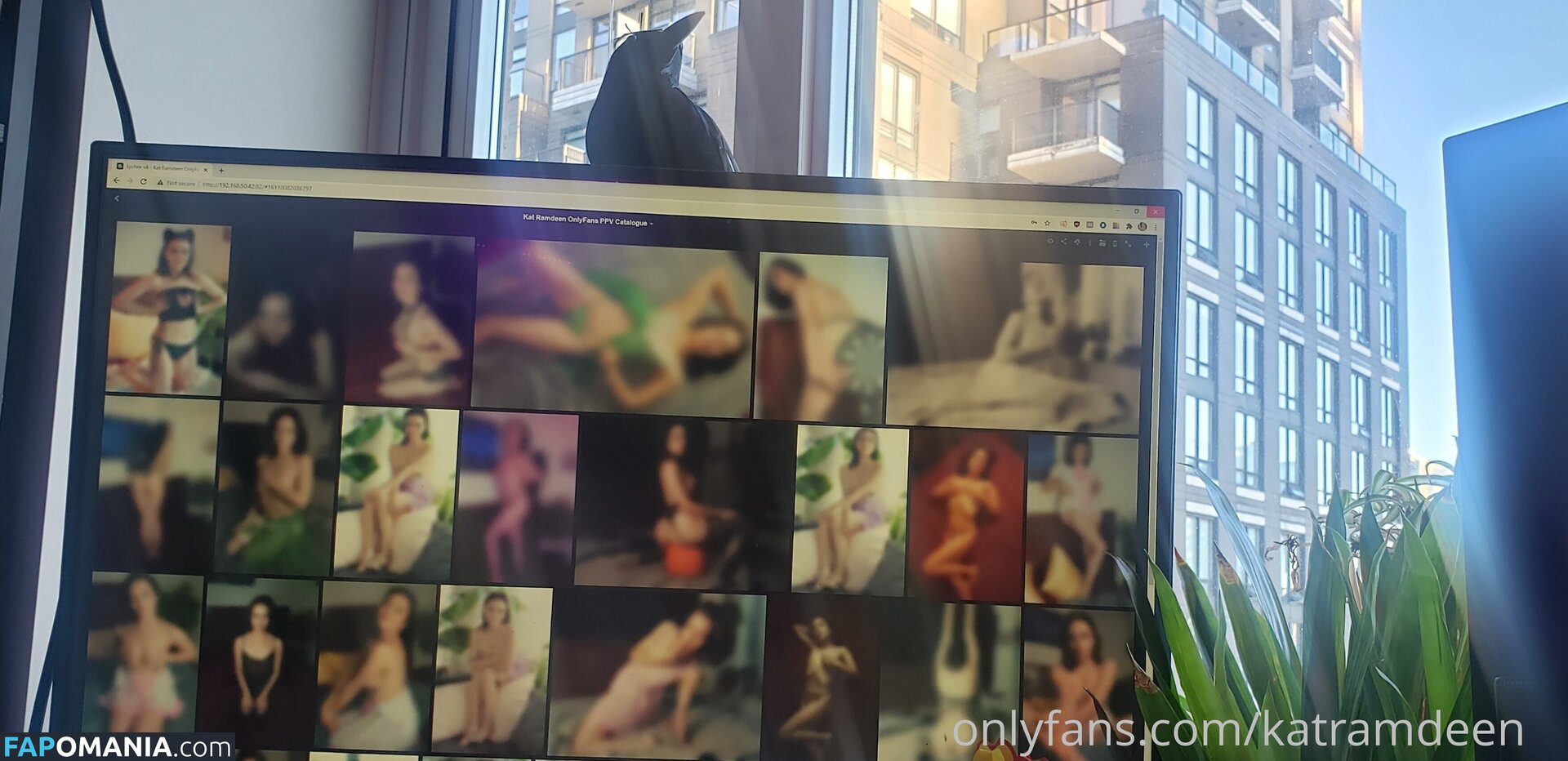 Katherine Ramdeen Nud OnlyFans  Fotografie scursă #17