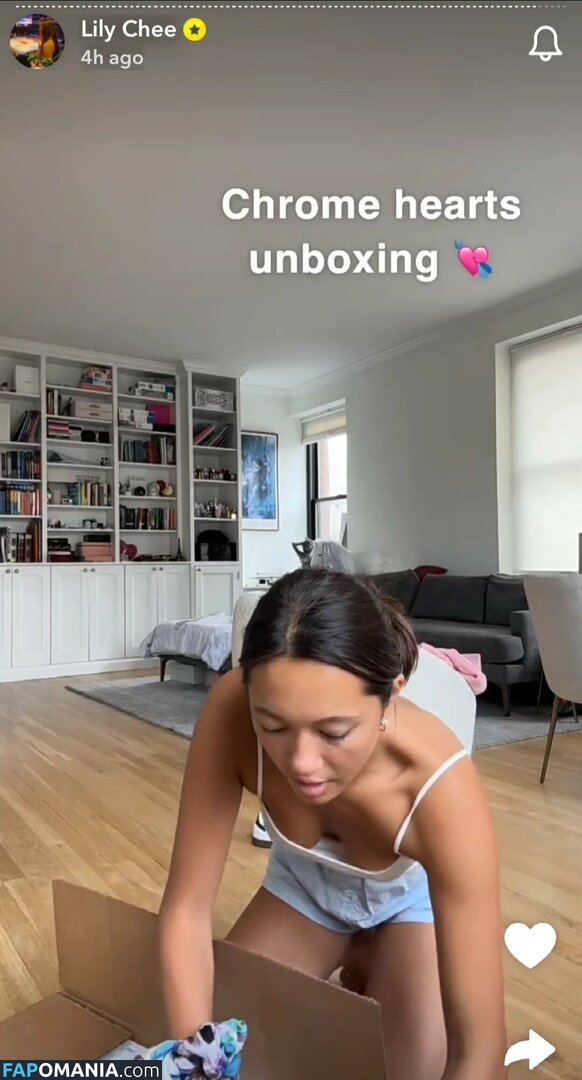 Lily Chee / lilychee Nud OnlyFans  Fotografie scursă #468