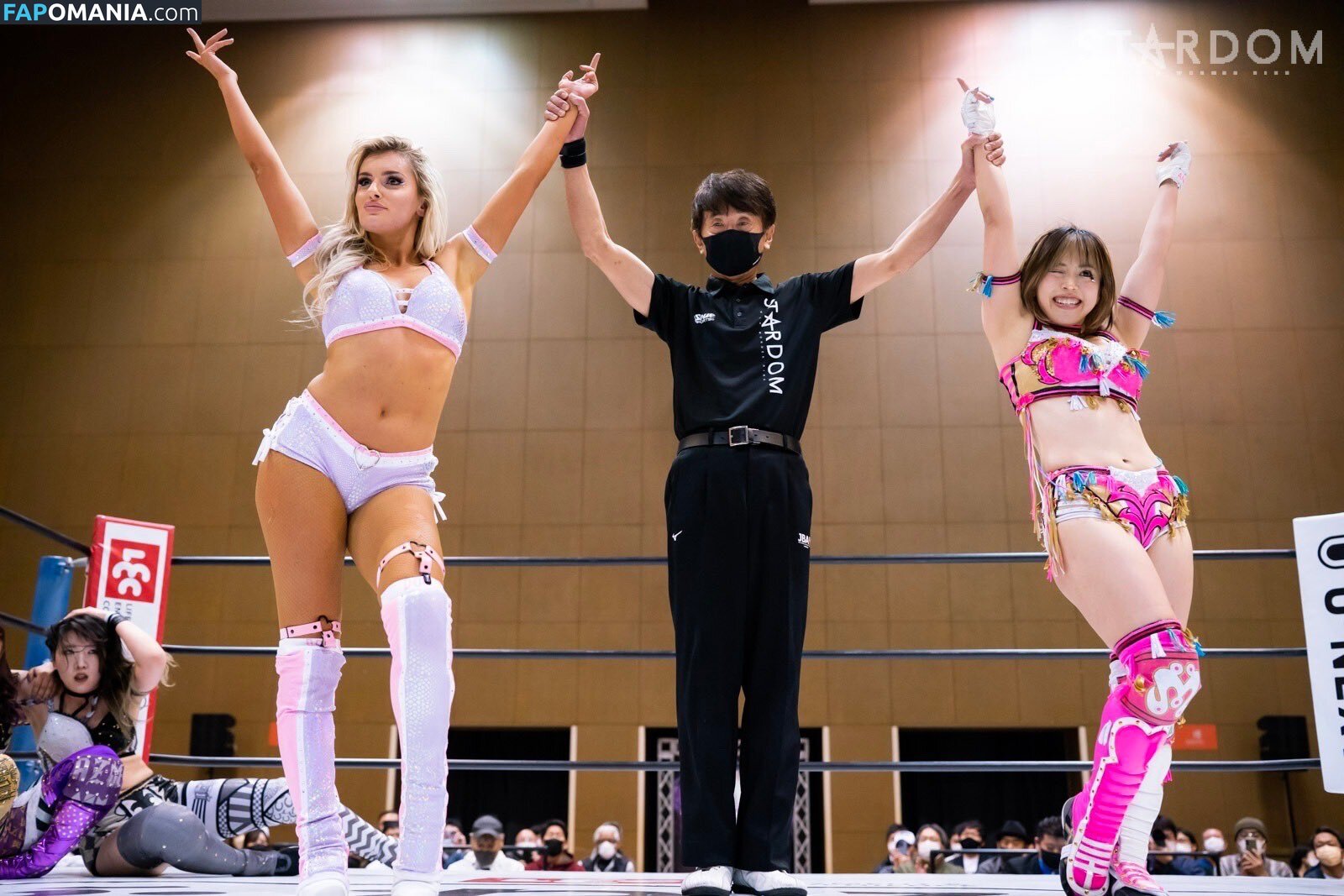 Mina Shirakawa / mina_shirakawa Nud OnlyFans  Fotografie scursă #1122