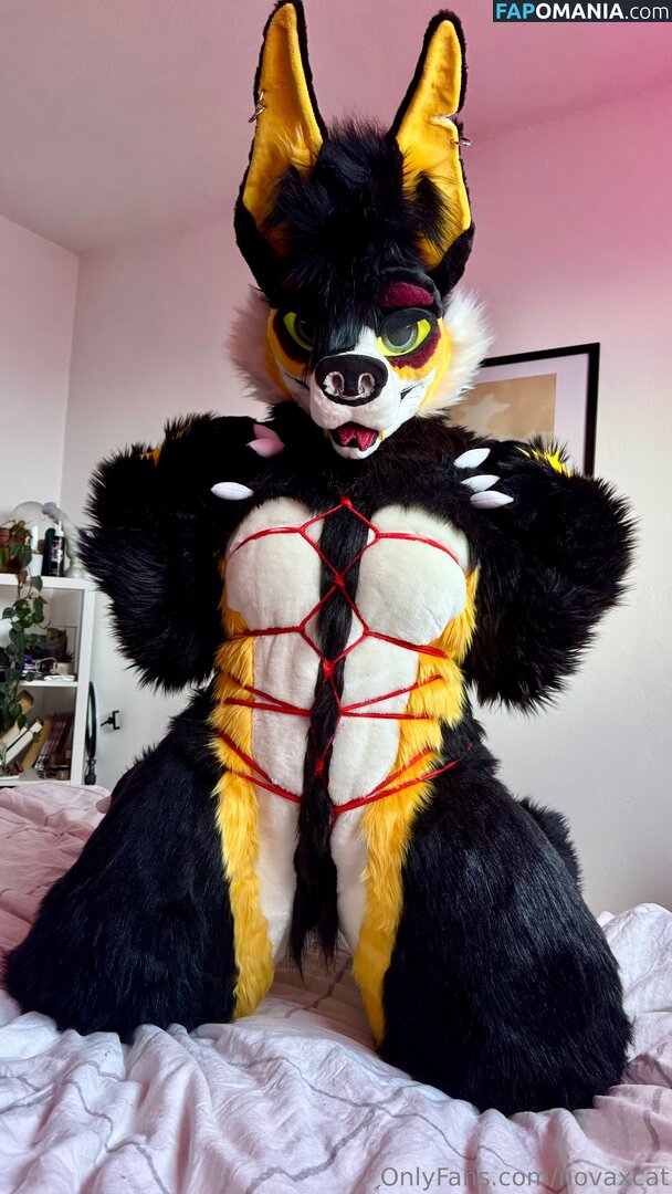 novaxcat / novaxxcat Nud OnlyFans  Fotografie scursă #1