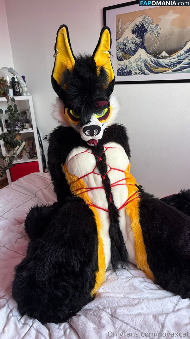 novaxcat / novaxxcat Nud OnlyFans  Fotografie scursă #2