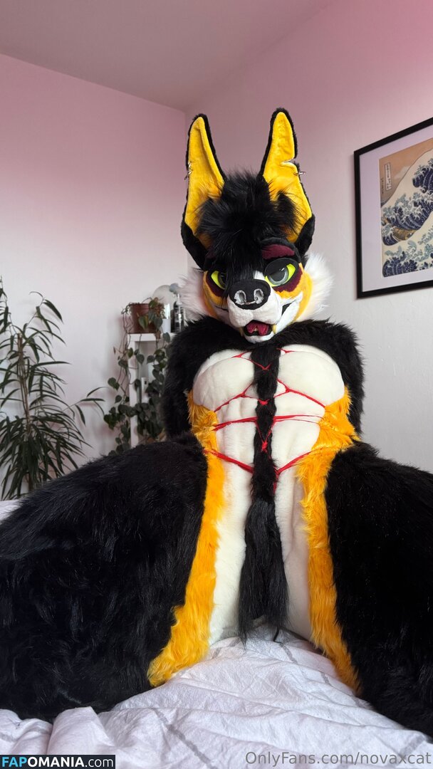 novaxcat / novaxxcat Nud OnlyFans  Fotografie scursă #3
