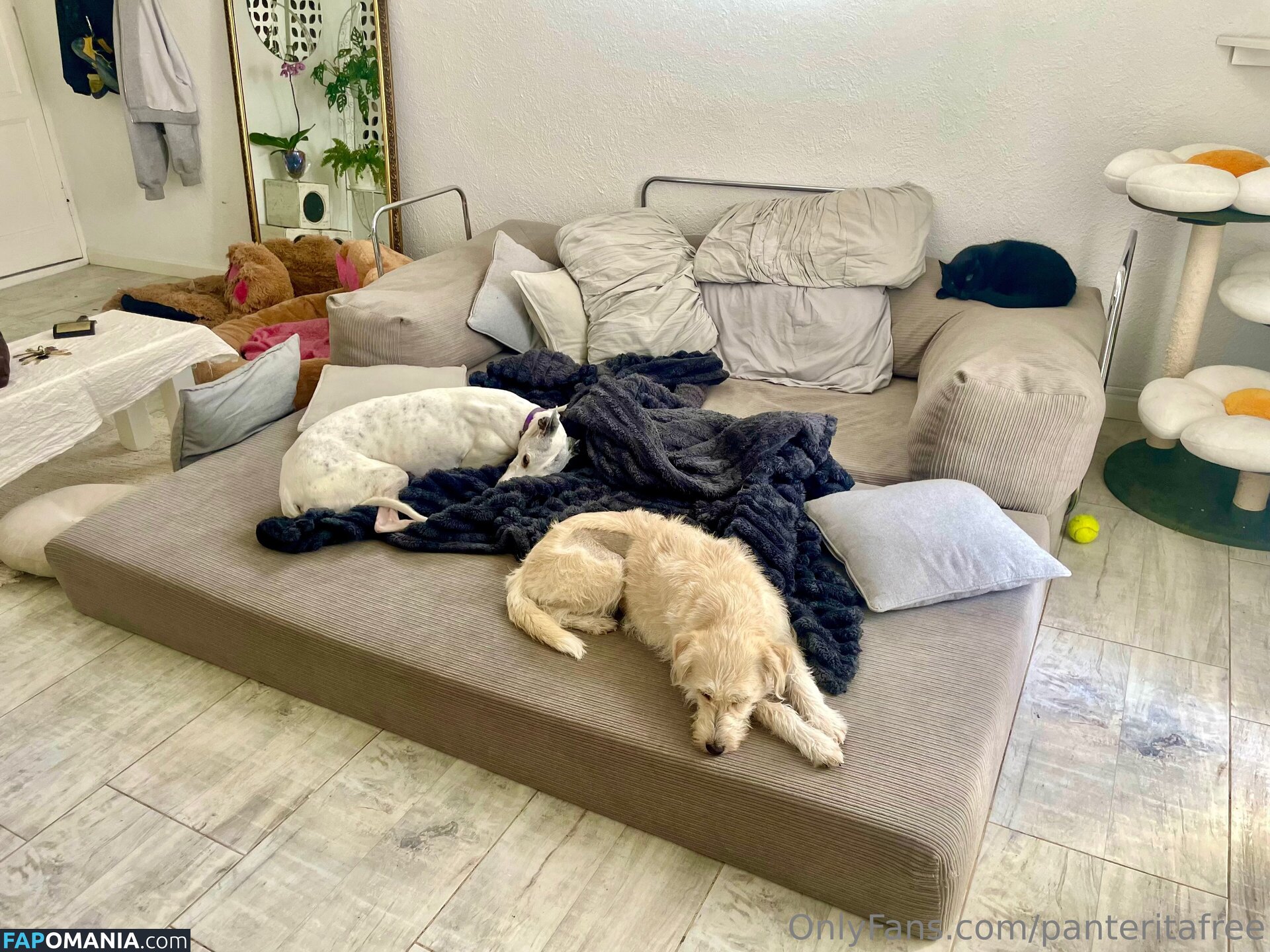 panteritafree Nud OnlyFans  Fotografie scursă #6