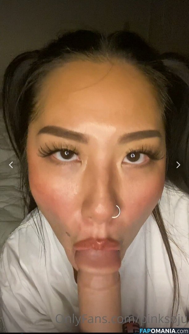 PlNKSOJU / denisetamsi / pinksoju Nud OnlyFans  Fotografie scursă #11