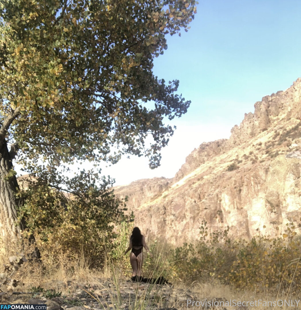 playfulsecret / provisionalsecret Nud OnlyFans  Fotografie scursă #1