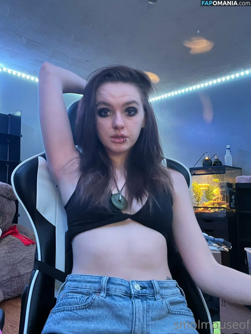 smolmouse8 / smolmouseof Nud OnlyFans  Fotografie scursă #46