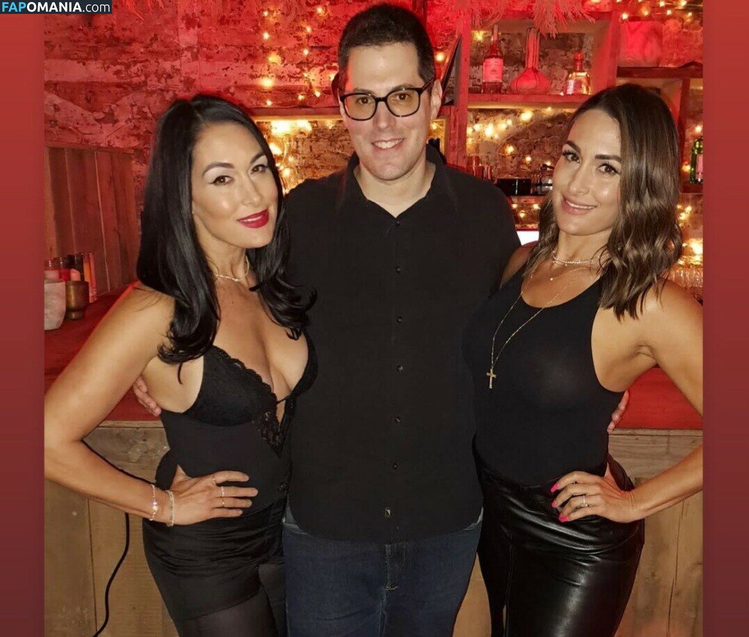 Nikki Bella & Brie Bella / The Bella Twins / thenikkibella Nud OnlyFans  Fotografie scursă #202