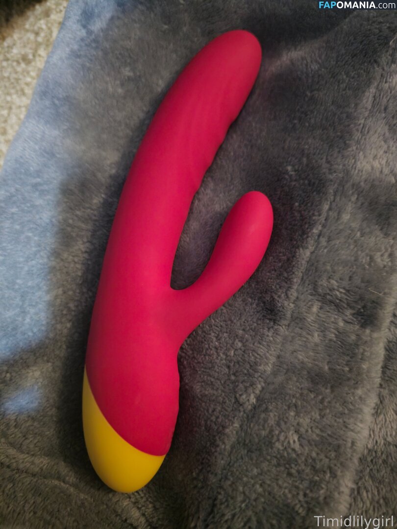 Timidlilygirl / timidgirll Nud OnlyFans  Fotografie scursă #19