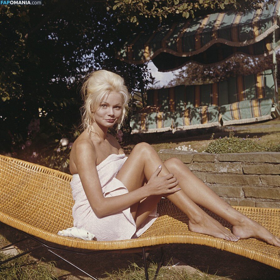 Vintage Starlets Nud OnlyFans  Fotografie scursă #472