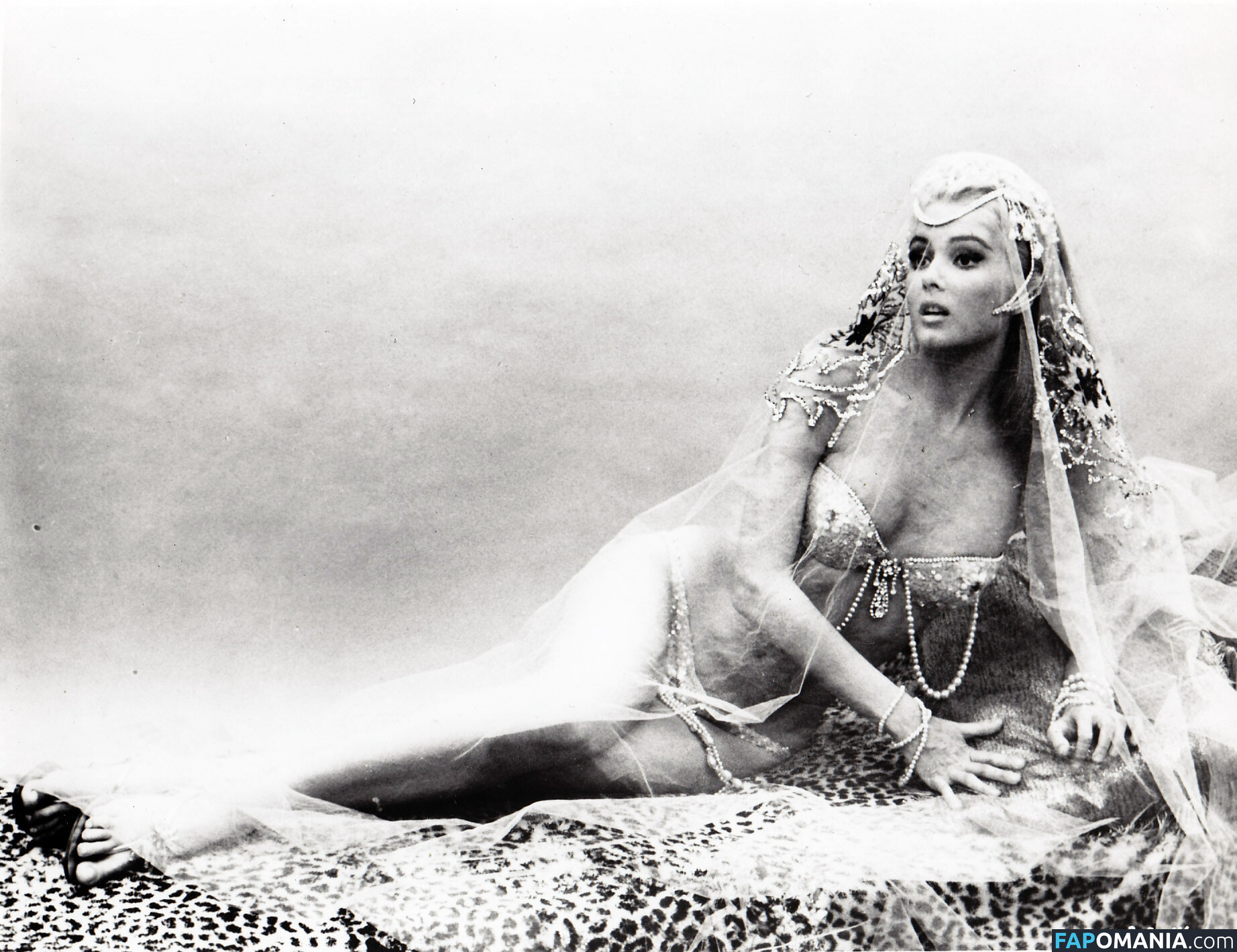 Vintage Starlets Nud OnlyFans  Fotografie scursă #543