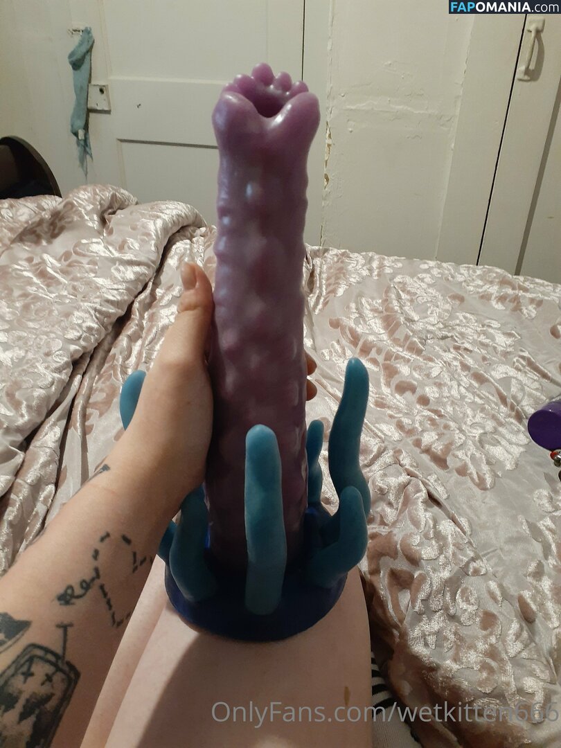 kitty.valentine.92372 / wetkitten666 Nud OnlyFans  Fotografie scursă #13