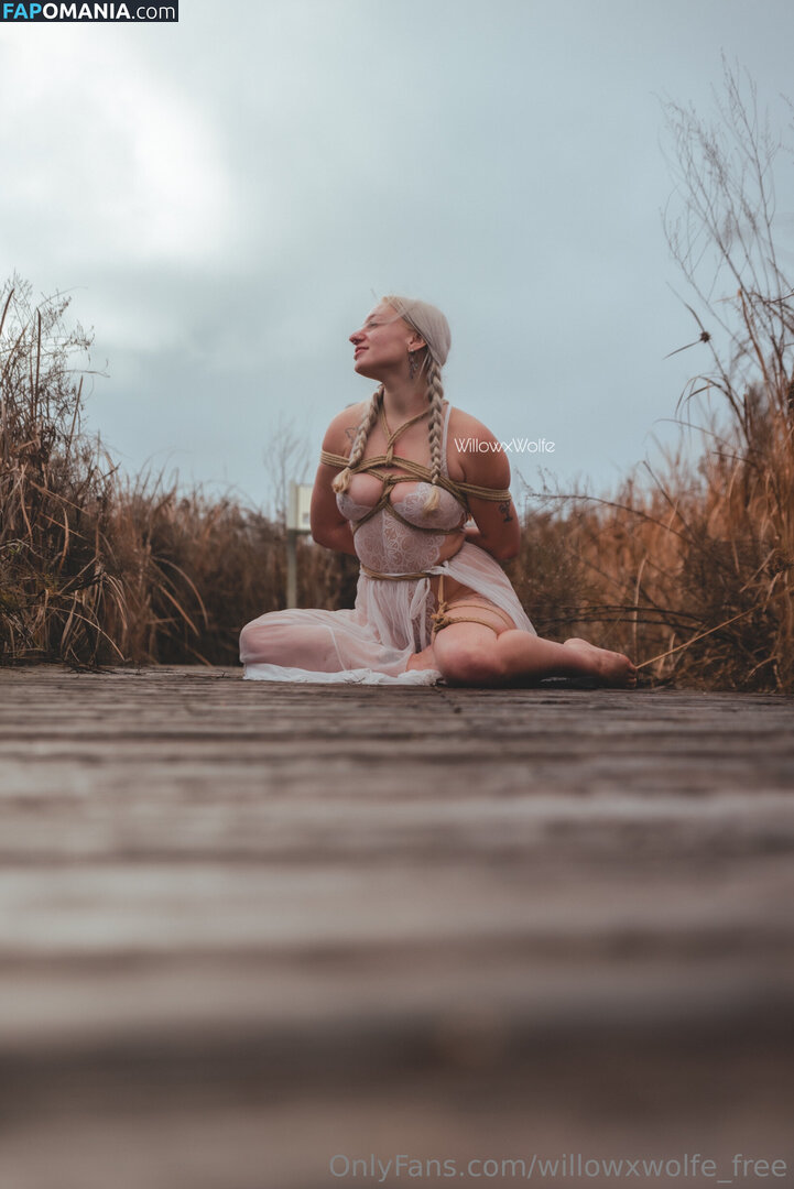 willowxwolfe / willowxwolfe_free Nud OnlyFans  Fotografie scursă #11