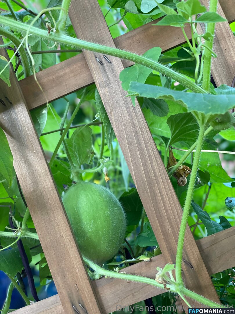 wolfofthewild / wolfofthewildd Nud OnlyFans  Fotografie scursă #8