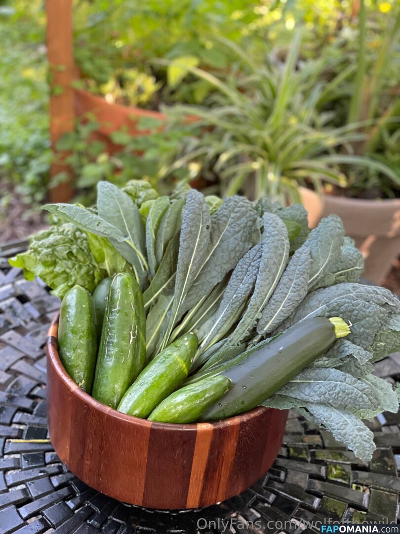 wolfofthewild / wolfofthewildd Nud OnlyFans  Fotografie scursă #10