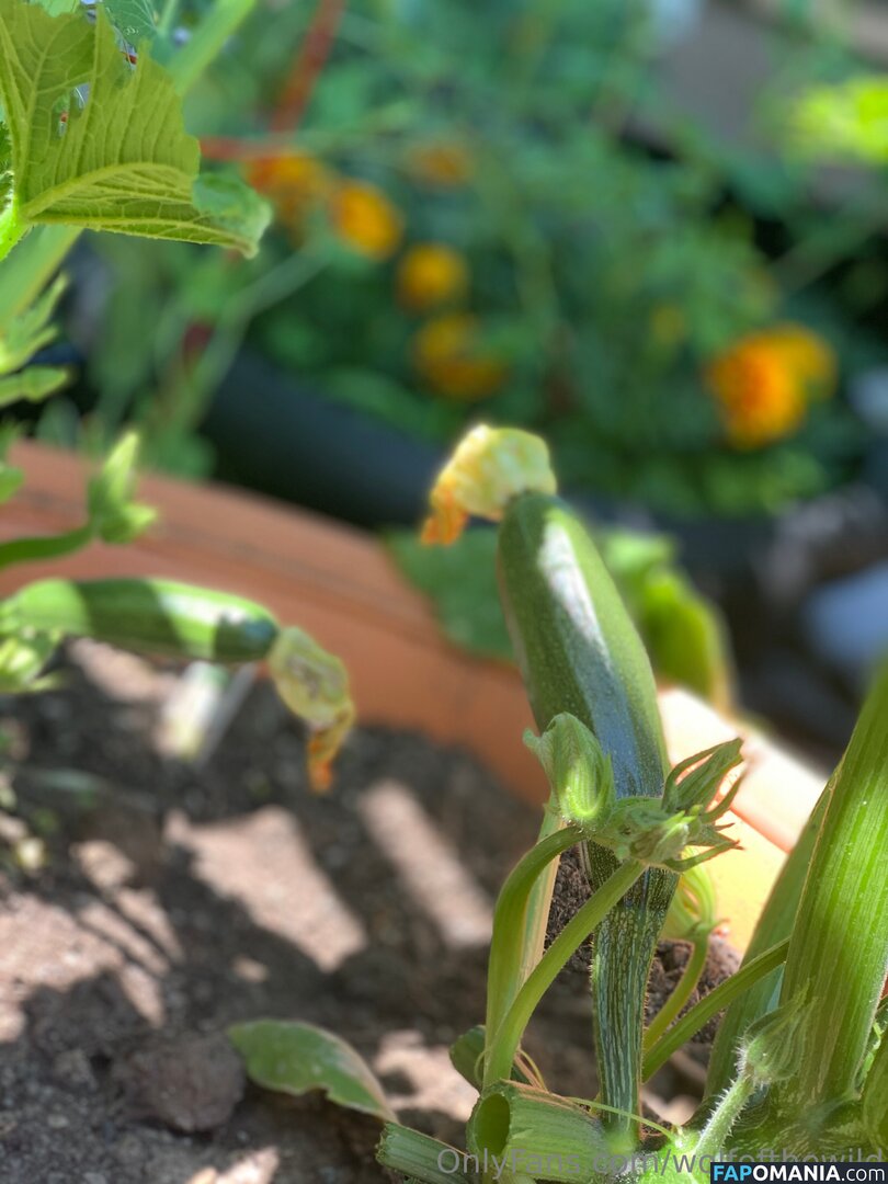 wolfofthewild / wolfofthewildd Nud OnlyFans  Fotografie scursă #13