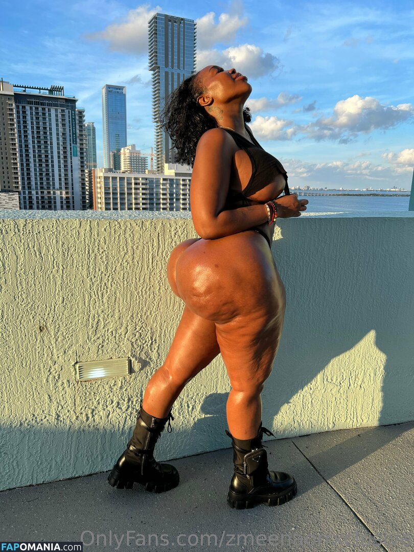 zmeenaorr / zmeenaorrxclusive Nud OnlyFans  Fotografie scursă #12
