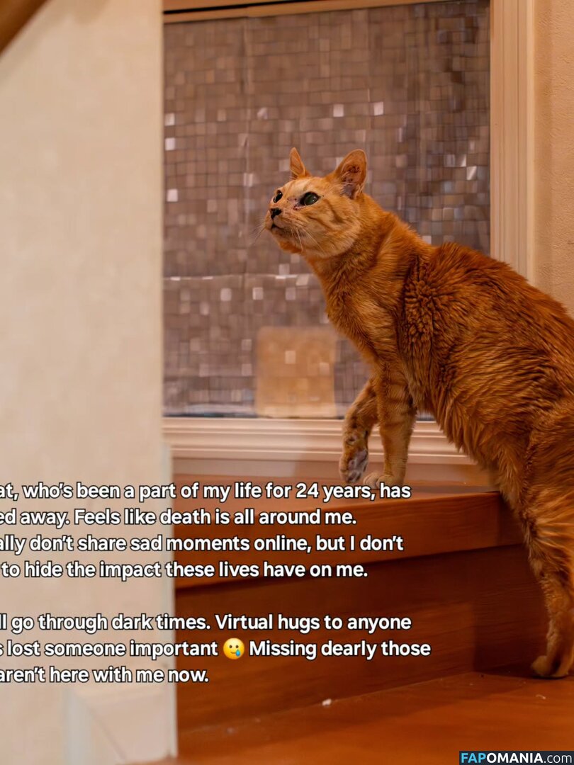 Zumi / zestyzumi Nud OnlyFans  Fotografie scursă #120